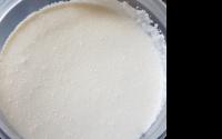 Requeijão cremoso caseiro com ricota