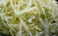 Médicos taiwaneses comem esse vegetal barato e popular no Brasil para ajudar a prevenir o câncer