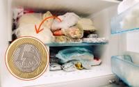 Por que as pessoas estão colocando uma moeda no congelador? Truque pode salvar a sua vida se for viajar neste fim de ano!