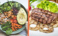 O que aconteceu com os corpos de irmãos gêmeos que adotaram dietas diferentes, vegana e com carne?