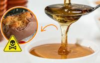É verdade que o mel se torna tóxico depois de aquecido? Entenda se pode ou não usar o ingrediente em receitas que vão ao forno