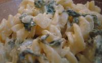 Macarrão com creme de ricota e espinafre