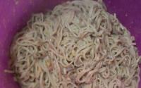 Macarrão com creme de leite