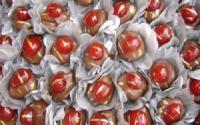 Trufas de cereja