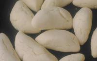 Chipa