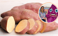 Enfermeira troca jaleco por enxada e vira referência no cultivo de batata-doce no Brasil: como Lucy Mara fez história no agro