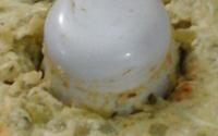 Chuchu ao Forno