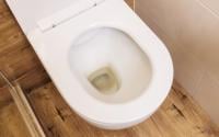 Já não sabia mais o que fazer para tirar as manchas do vaso sanitário até que aprendi esse truque muito simples
