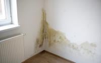 Adeus manchas nas paredes e tetos: solução potente com um ingrediente simples absorve a umidade de casa no outono