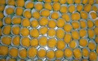 Laranjinha de festa
