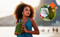 Benefícios da água de coco: o que acontece com o suco quando substitui a água pela fruta?
