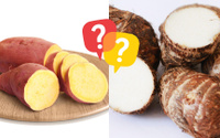 Quais são as principais diferenças entre batata-doce e inhame?