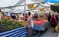 Pare de jogar dinheiro fora na feira sem saber como escolher frutas e legumes! Aprenda as dicas práticas