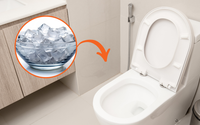 Truque do gelo no vaso sanitário funciona mesmo? Veja porque essa técnica ficou popular e como fazer em casa