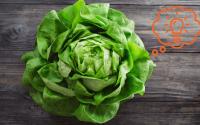 4 maneiras espantosas de usar uma cabeça inteira de alface sem fazer salada
