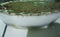 Torta de Ovomaltine