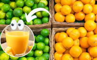 Quanto mais lisa a casca do limão e da laranja, mais suco terão: verdade ou mito? Vem que o TudoGostoso tira a dúvida!