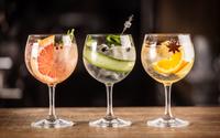 Drinks com gin: servir gin tônica em casa é fácil e sabor aromático surpreende os amigos