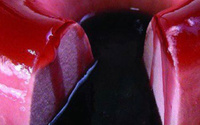 Mousse de uva delícia com calda de vinho tinto