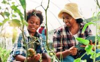 Por que seu filho deveria cultivar plantas? A psicologia explica (e os benefícios são surpreendentes!)