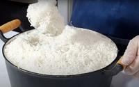 Aprendi como fazer um arroz branquinho e soltinho em grande quantidade igual de restaurante (e o arroz ainda rende 3 vezes mais!)