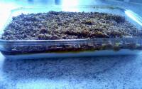 Gelado crocante