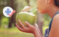 É por isso que você deve beber água de coco no verão: descubra os benefícios e a melhor opção para incluir na rotina