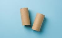 Se você tem rolos de papel higiênico vazios, não os jogue fora, você tem um tesouro em casa