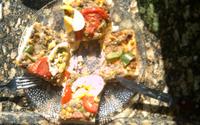 Pizza caseira