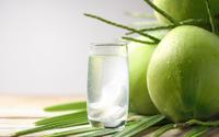 Sou nutricionista e garanto: água de coco tem propriedades incríveis, os filipinos a chamam de árvore da vida por um motivo