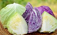 REPOLHO ROXO X REPOLHO BRANCO: quem vence o embate nutritivo? Descubra benefícios da hortaliça de abril!