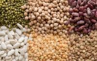 Estas são as seis melhores leguminosas para comer todos os dias, de acordo com nutricionistas