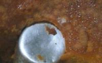 Maçã caramelada