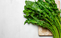 "É época de chicória": especialista gastronômico revela sua receita favorita para saborear o vegetal