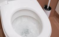 O maior debate dos banheiros foi solucionado: deve-se dar descarga no vaso sanitário com a tampa aberta ou fechada?