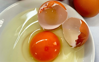 Não é salmonela: o que significa essa cor estranha no ovo, segundo alerta de um biólogo