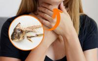 É isso que você deve fazer se ficar engasgado com uma espinha de peixe