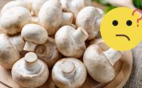 Pode comer cogumelo cru ou faz mal à saúde? A gente tira sua dúvida e explica quais cuidados deve ter!