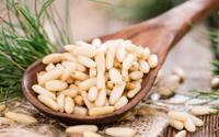 Pinóli: conheça mais sobre essa oleaginosa em receitas saborosas