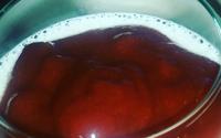 Mousse de queijo com goiabada