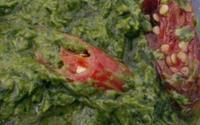 Alichella Italiana