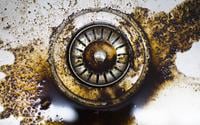 Poucos sabem, mas descartar borra de café na pia é um dos maiores erros cometidos na cozinha