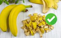 Poucos sabem, mas é por isso que você deve usar casca de banana nas suas plantas