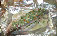Robalo especial