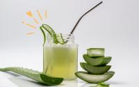 Como fazer suco de babosa e descubra se você está apto a tomar a bebida hidratante que poupa o fígado e deixa pele e cabelos mais bonitos