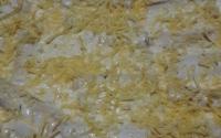 Rigatoni recheado