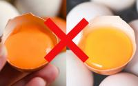 Gema de ovo laranja ou amarela, qual das duas é mais nutritiva e melhor para a saúde? A resposta vai te surpreender!