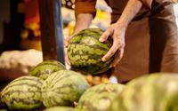 As regras de ouro ao comprar melancias: como os profissionais escolhem a fruta perfeita e doce