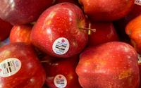 O que significa o adesivo nas frutas e legumes? Pode parecer inútil, mas ele pode te ajudar a fazer escolhas melhores no mercado