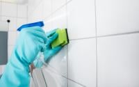 Descubra 5 utilidades da amônia na limpeza para deixar sua cozinha impecável